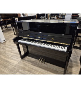 Schimmel W123 Tradition d'expo